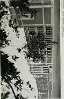 An illustration from Architect and engineer (1905)