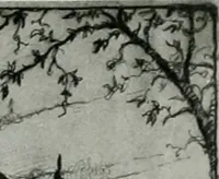 An illustration from Architect and engineer (1905)