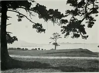 Picture 79 of 464 from Architect and engineer (1905), leaf 88