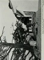Picture 86 of 464 from Architect and engineer (1905), leaf 95