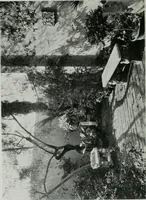 An illustration from Architect and engineer (1905)