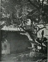 An illustration from Architect and engineer (1905)