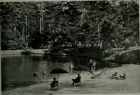An illustration from Architect and engineer (1905)