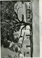 Picture 80 of 352 from Architect and engineer (1905), leaf 100