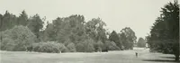 Picture 29 of 352 from Architect and engineer (1905), leaf 37