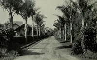 An illustration from Architect and engineer (1905)