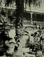 An illustration from Architect and engineer (1905)
