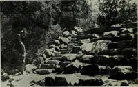 An illustration from Architect and engineer (1905)