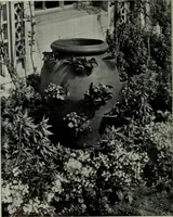 An illustration from Architect and engineer (1905)