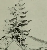 An illustration from Architect and engineer (1905)
