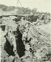 Picture 27 of 412 from Architect and engineer (1905), leaf 40
