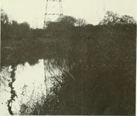 Picture 403 of 412 from Architect and engineer (1905), leaf 542