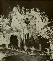 An illustration from Architect and engineer (1905)
