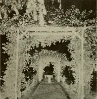 An illustration from Architect and engineer (1905)