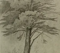 An illustration from Architect and engineer (1905)