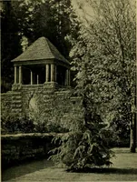An illustration from Architect and engineer (1905)