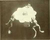 Picture 319 of 448 from Architect and engineer (1905), leaf 475