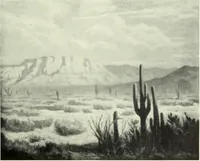 An illustration from Architect and engineer (1905)