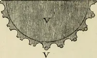 Picture 32 of 45 from Architectura (1825), leaf 384