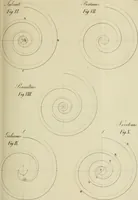 An illustration from Architectura (1825)
