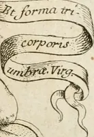 An illustration from Architectura civil recta y obliqua : considerada y dibuxada en el Templo de Ierusalen ... promovida a suma perfeccion en el templo y palacio de S. Lorenço cerca del Escurial ... (1678)