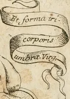 An illustration from Architectura civil recta y obliqua : considerada y dibuxada en el Templo de Ierusalen ... promovida a suma perfeccion en el templo y palacio de S. Lorenço cerca del Escurial ... (1678)