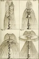 Picture 71 of 233 from Architectura curiosa nova, exponens 1. Fundamenta hydragogica, indolemq[ue] aquæ, aëris interventu in altum levandæ. 2. Varios aquarum ac salientium fontium lusus per varia spectatu jucunda epistomiorum seu siphonum genera. 3. Magnum amnissimorum fontium, machinarumq[ue] aquæductoriarum sumtu magno exstructarum, ac per Italiam, Britanniam, Germaniam &c. visendarum, numerum. 4. Specus artificiales sumtuosissimas, cum plerisq[ue] principum europæorum palatiis, hortis, aulis; nec non præcipuis monasteriis atq[ue] arcibus. 5. Cum auctario figurarum elegantissimarum, ad hortorum topiaria vario ductù dividenda, nec non conclavium laquearibus ac pavimentis segmentandis, itemq[ue] labyrinthis construendis, adhibendarum. Omnia 200 æri incisis... descripta (1664), leaf 160