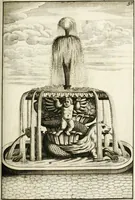 Picture 166 of 233 from Architectura curiosa nova, exponens 1. Fundamenta hydragogica, indolemq[ue] aquæ, aëris interventu in altum levandæ. 2. Varios aquarum ac salientium fontium lusus per varia spectatu jucunda epistomiorum seu siphonum genera. 3. Magnum amnissimorum fontium, machinarumq[ue] aquæductoriarum sumtu magno exstructarum, ac per Italiam, Britanniam, Germaniam &c. visendarum, numerum. 4. Specus artificiales sumtuosissimas, cum plerisq[ue] principum europæorum palatiis, hortis, aulis; nec non præcipuis monasteriis atq[ue] arcibus. 5. Cum auctario figurarum elegantissimarum, ad hortorum topiaria vario ductù dividenda, nec non conclavium laquearibus ac pavimentis segmentandis, itemq[ue] labyrinthis construendis, adhibendarum. Omnia 200 æri incisis... descripta (1664), leaf 366