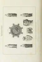 An illustration from The architectural antiquities of Great Britain, represented and illustrated in a series of views, elevations, plans, sections, and details, of various ancient English edifices : with historical and descriptive accounts of each (1807)