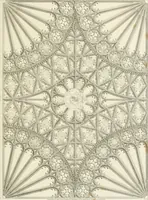 An illustration from The architectural antiquities of Great Britain : represented and illustrated in a series of views, elevations, plans, sections, and details, of various ancient English edifices : with historical and descriptive accounts of each (1807)