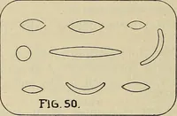 An illustration from Architectural drawing : a textbook that combines the parctical instructions and examples that the student needs, with the suggestive programs, supplementary problems, etc, required by the teacher, written by an architect of wide experience who has also taught the subject for years at Teachers' College, Columbia University, and Mechanics' Institute, New York (1920)