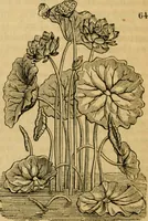 Picture 49 of 138 from The Architectural magazine (1834), leaf 203