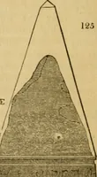 An illustration from The Architectural magazine (1834)