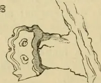 An illustration from The Architectural magazine (1834)