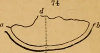 An illustration from The Architectural magazine (1834)