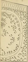 An illustration from The Architectural magazine (1834)
