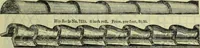 An illustration from Architectural metal work : manufactured by W.H. Mullins, Salem, Ohio, U.S.A (1897)