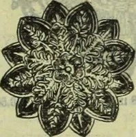 An illustration from Architectural metal work : manufactured by W.H. Mullins, Salem, Ohio, U.S.A (1897)