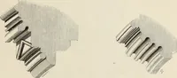 An illustration from Architectural notices of the churches of the Archdeaconry of Northampton. Deaneries of Higham Ferrers and Haddon (1849)