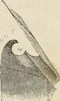An illustration from Architectural notices of the churches of the Archdeaconry of Northampton. Deaneries of Higham Ferrers and Haddon (1849)