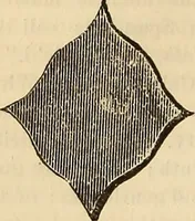 An illustration from The Architectural review and American builders' journal (1869)