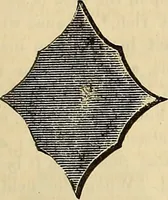 An illustration from The Architectural review and American builders' journal (1869)
