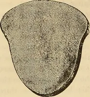 An illustration from The Architectural review and American builders' journal (1869)