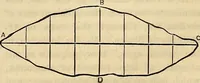 An illustration from The Architectural review and American builders' journal (1869)