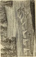 An illustration from The Architectural review and American builders' journal (1869)