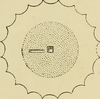 An illustration from Architecture, classic and early Christian (1888)