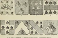 An illustration from Architecture, décoration et ameublement pendant le dix-huitième siècle, Régence - Louis XV. Symétrie et asymétrie proportions légères et courbes capricieuses (1900)