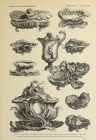 An illustration from Architecture, décoration et ameublement pendant le dix-huitième siècle, Régence - Louis XV. Symétrie et asymétrie proportions légères et courbes capricieuses (1900)