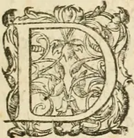 An illustration from Architecture de Philibert de l'Orme ... : uure entiere contenant onze livres, augmentée de deux, & autres figures non encores veuës, tant pour desseins qu'ornemens de maisons : avec vne belle inuention pour bien bastir, & à petits fraiz .. (1626)