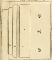 An illustration from Architecture de Philibert de l'Orme ... : uure entiere contenant onze livres, augmentée de deux, & autres figures non encores veuës, tant pour desseins qu'ornemens de maisons : avec vne belle inuention pour bien bastir, & à petits fraiz .. (1626)